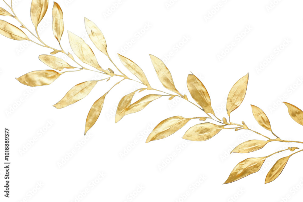 PNG Olive leaf art backgrounds pattern. PNG Olive leaf art backgrounds pattern.