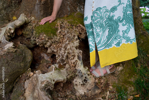 Detail of dress and woman in moss and wood photo