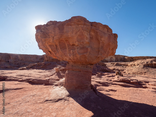 Mushroom natural formation at Timna Park, Israel