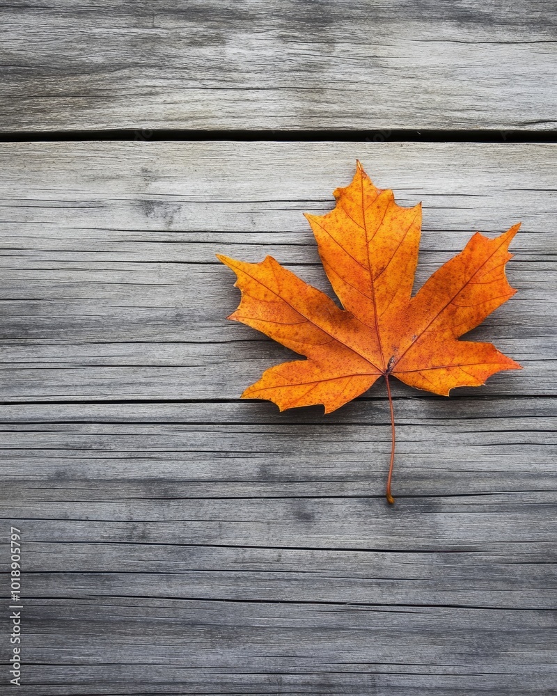 autumn greetings with maple leaf on wooden surface autumn greetings with maple leaf on wooden surface