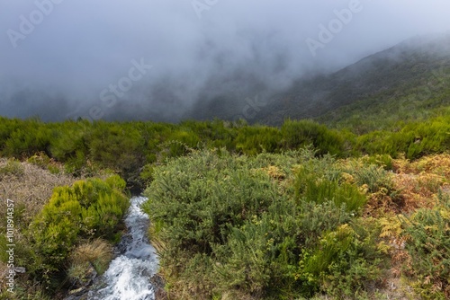 Fog and clouds. Heatherfields. Rabacal Madeira Portugal. Highlands. 