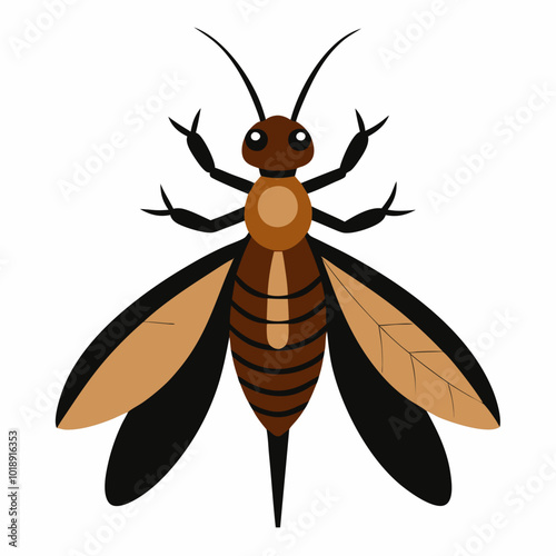 Dobsonfly's creative vector illustration on a white background photo