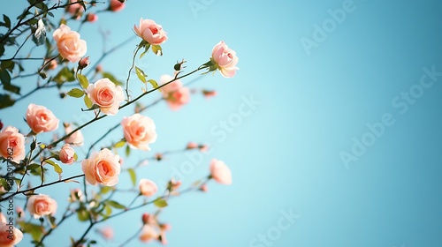 flowers in the wind