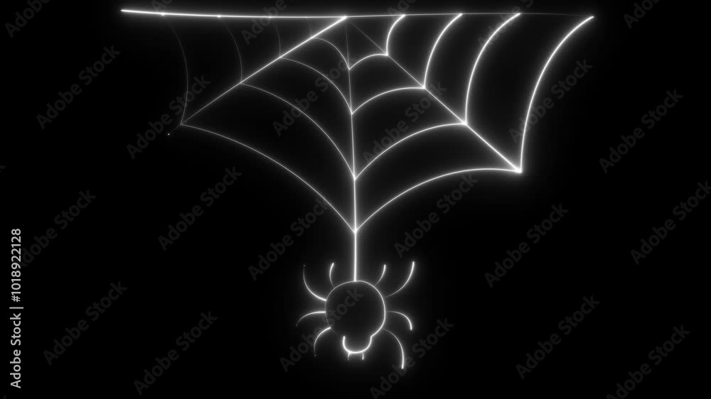 Animated spider web. Neon effect. Line art. A white web. Isolated on black background. Halloween effect for overlay. Scary Halloween decoration. Dark Halloween goth creepy horror animated background.
