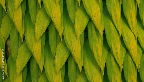 Overlapping shade-varied palm leaf pattern replicates a moving palm tree canopy photo