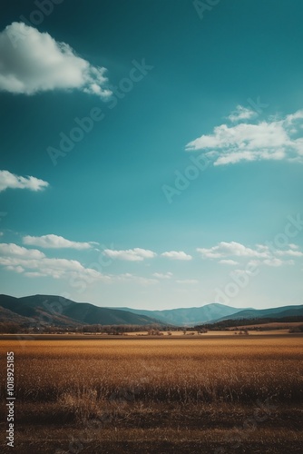 Wallpaper Mural A field of golden barley spreads under a clear blue sky dotted with fluffy clouds, symbolizing peace and prosperity. Torontodigital.ca