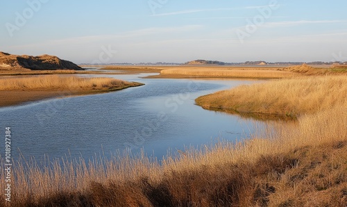 Salt marshes at Northton photo