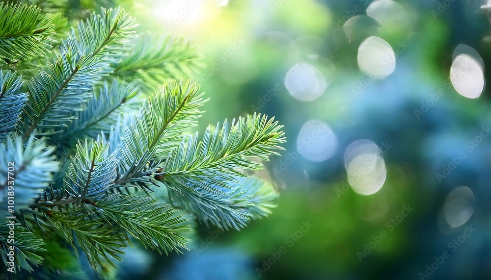 Close-up of blue spruce fir tree branches showcasing vibrant green needles against a soft blurred background. Generative AI Close-up of blue spruce fir tree branches showcasing vibrant green needles against a soft blurred background. Generative AI