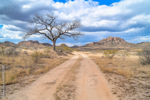 A dirt road winds through a dry desert landscape with sparse vegetation, a lone tree, and distant rocky mountains under a cloudy sky