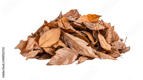 A pile of brown leaves on a white background