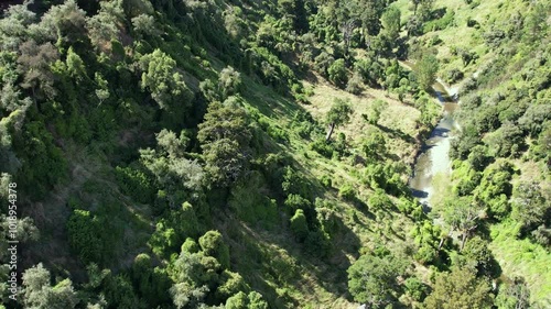 Rangitikei Gorge photo