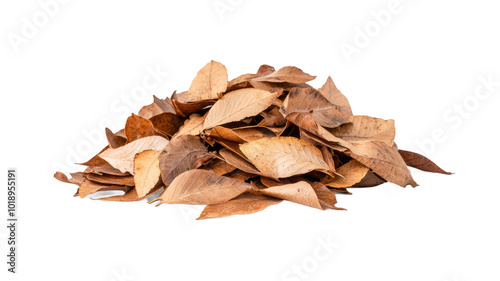 A pile of brown leaves on a white background