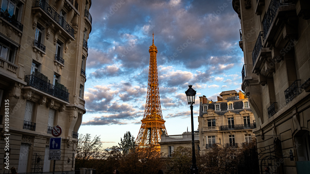 Fototapeta premium Paris panorama