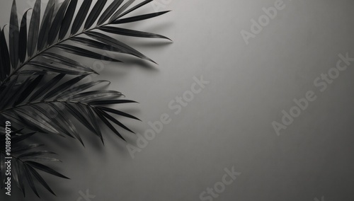 Abstract palmcoconut leaf backdrop with natural patterns gray shadows suitable for adverts biz card  brochure designs photo