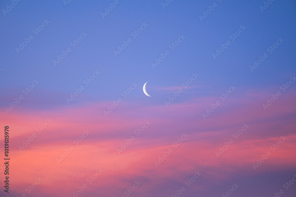 Crescent moon during beautiful pink sunrise Crescent moon during beautiful pink sunrise