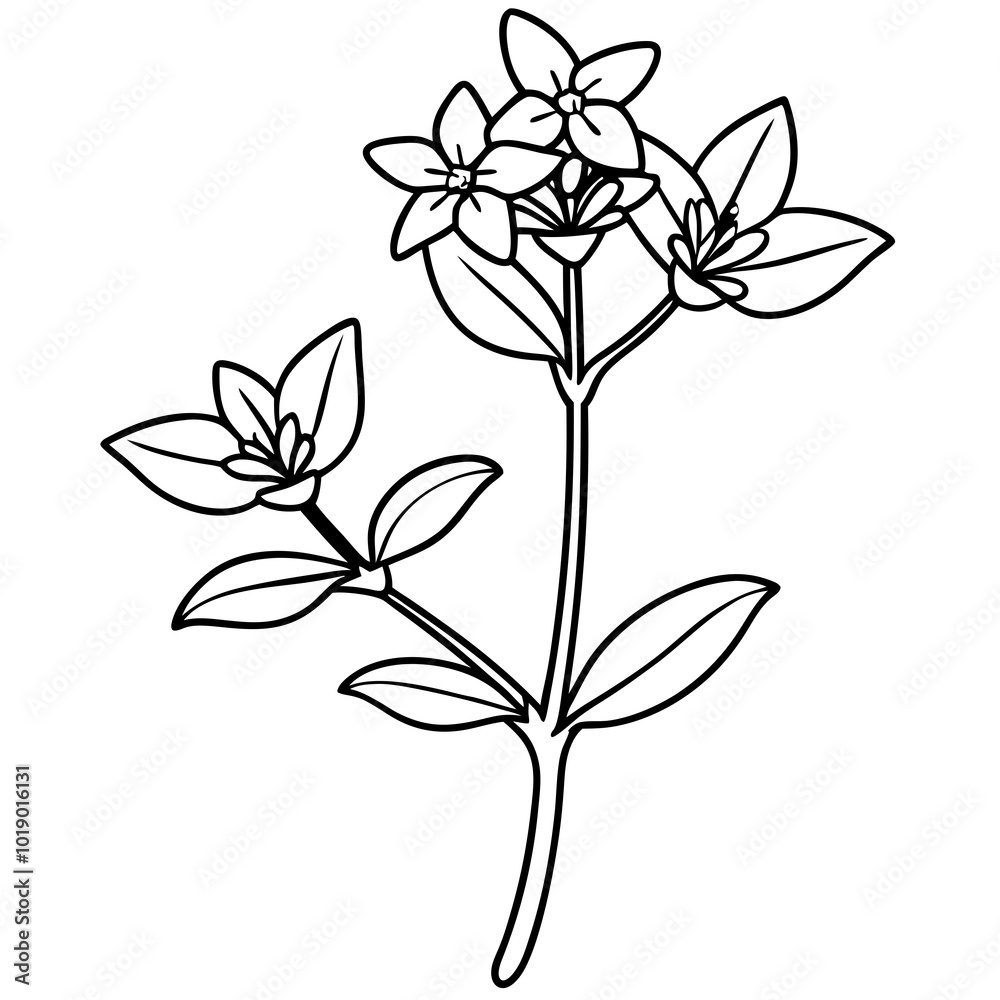 illustrative flowers, flat color, seperated, no overlap position, pastel colors. isolated on white illustrative flowers, flat color, seperated, no overlap position, pastel colors. isolated on white