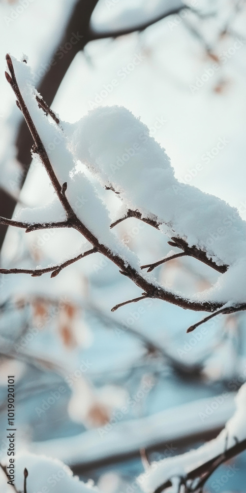 Snow-Covered Branch with Falling Snowflakes in a Winter Wonderland Snow-Covered Branch with Falling Snowflakes in a Winter Wonderland