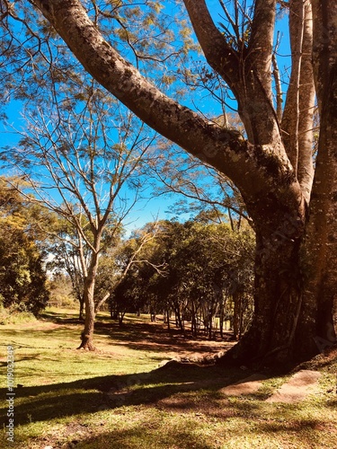 Parque Buraco do Padre