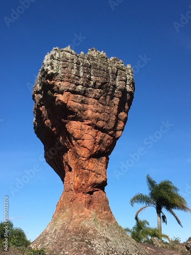 Vila Velha Taça