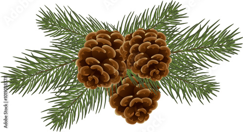evergreen christmas Fir tree, Christmas tree silhouette pattern frame card template graphic design. pine. Eps 10