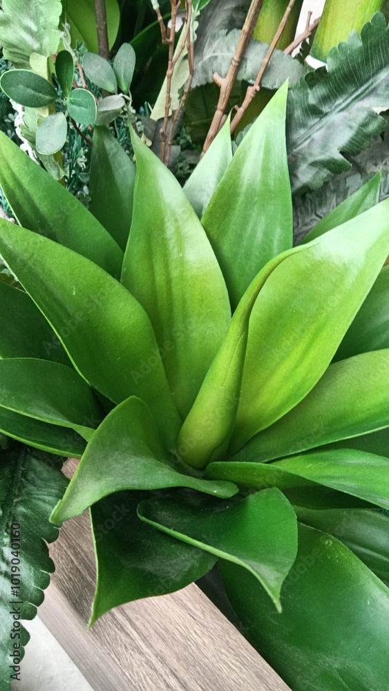 Obraz premium Artificial plant