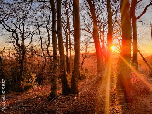 Sunrise on the Tönsberg in Oerlingshausen photo