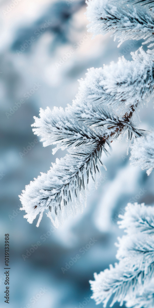 Snow-Covered Branch with Falling Snowflakes in a Winter Wonderland. Snow-Covered Branch with Falling Snowflakes in a Winter Wonderland.