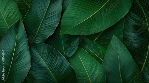 Close up of green leaves with a water droplet on the leaf. The leaves are arranged in a way that creates a sense of depth and movement