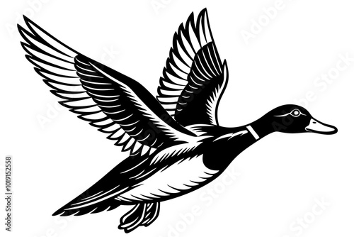 Flying mallard duck vector art illustration 
