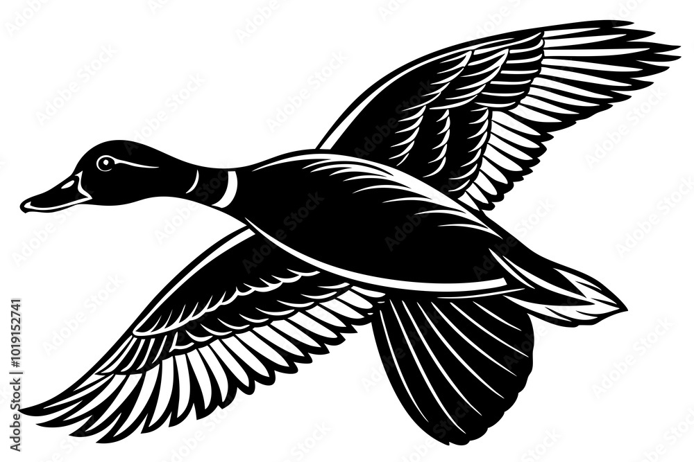 Obraz premium Flying mallard duck vector art illustration 