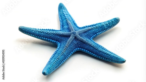 Medium shot blue starfish isolated on white background