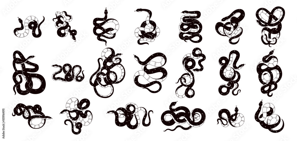 Vector Chinese New Year Snake Ornament Cartoon Set Illustration Isolated