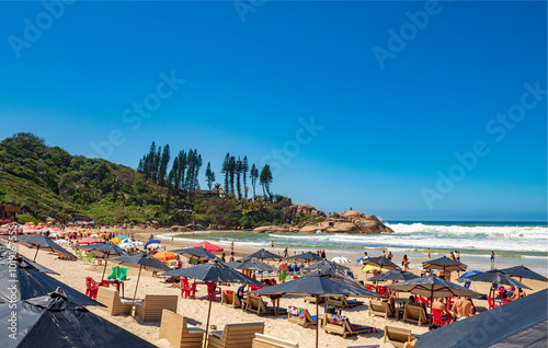 Brasil praia tropical Praia da Joaquina Florianópolis   photo