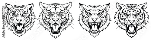 Angry tiger head line art 