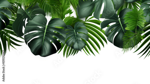 Tropical Foliage on Transparent Background