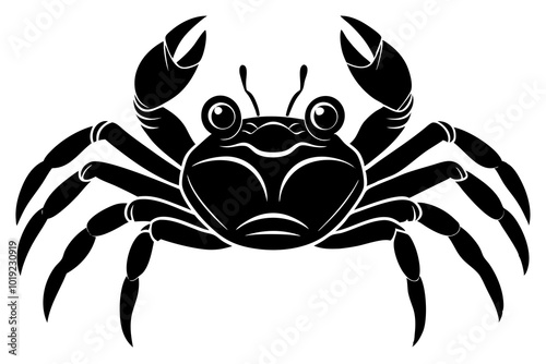 Galapagos   ghost crabs vector art illustration
