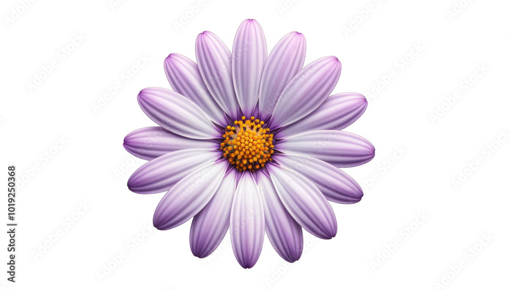 Beautiful Purple Flower with Transparent Background for Design Use - High-Quality Isolated PNG Image Beautiful Purple Flower with Transparent Background for Design Use - High-Quality Isolated PNG Image