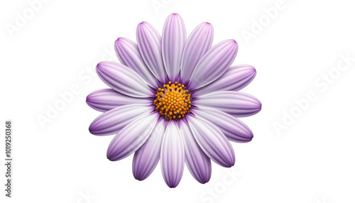 Beautiful Purple Flower with Transparent Background for Design Use - High-Quality Isolated PNG Image