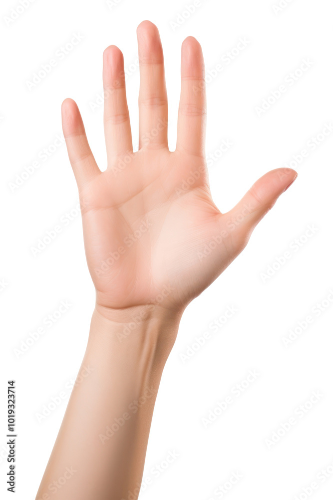 Fototapeta premium PNG Woman hand help finger gesturing touching.