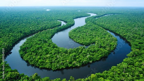 Serpentine River Through Lush Green Jungle Landscape