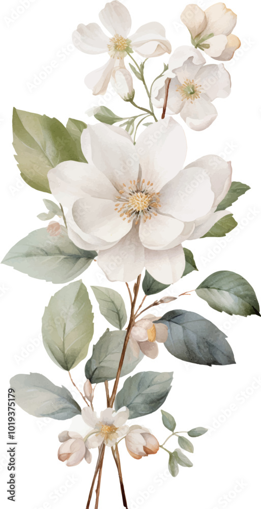 Fototapeta premium white cherry blossom