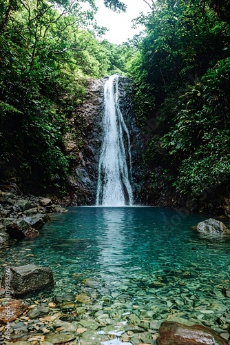 Serene waterfall cascading into a crystal-clear pool, surrounded by lush tropical foliage.