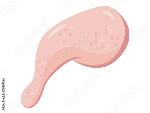 鶏もも肉のイラスト