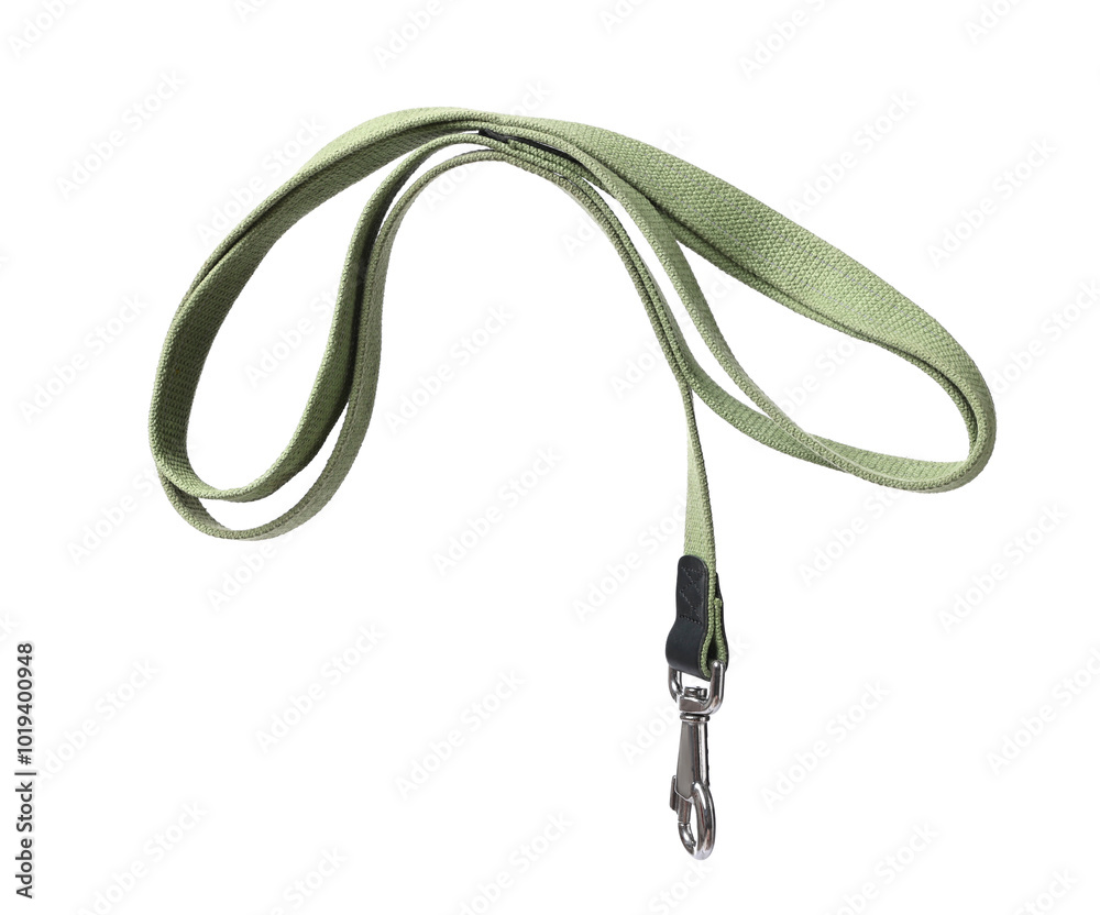 One olive dog leash isolated on white One olive dog leash isolated on white