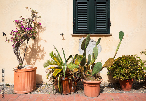 Potted Plants Against Yellow Wall photo