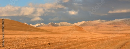 Tableau sur toile Panoramic shot of a hilly yellowed steppe against the backdrop of snow-capped mountain peaks on a sunny autumn evening before sunset