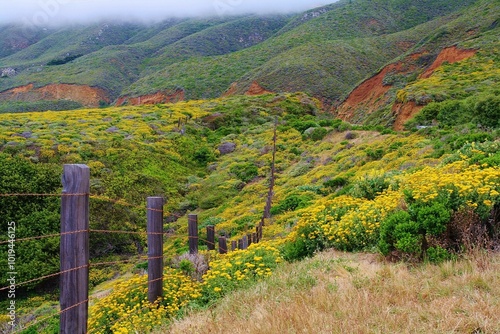 California coastal area