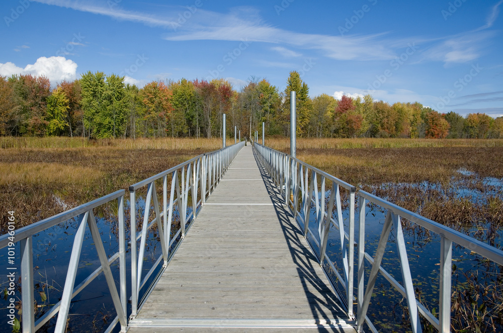 Aluminum Walking Bridge over Marsh in Fall Season Aluminum Walking Bridge over Marsh in Fall Season