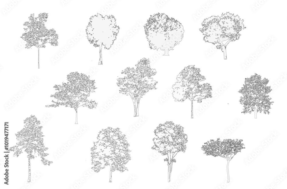 Minimal style cad tree line drawing, Side view, set of graphics trees elements outline symbol for architecture and landscape design drawing. Vector illustration in stroke fill in white. Tropical, stre