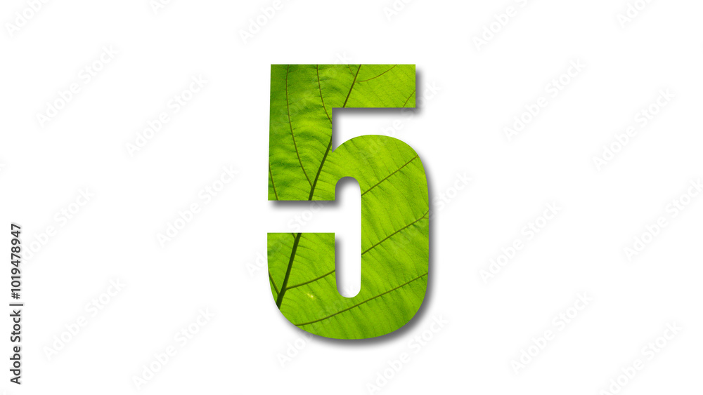 Number 5 with green leaf texture, white background Number 5 with green leaf texture, white background